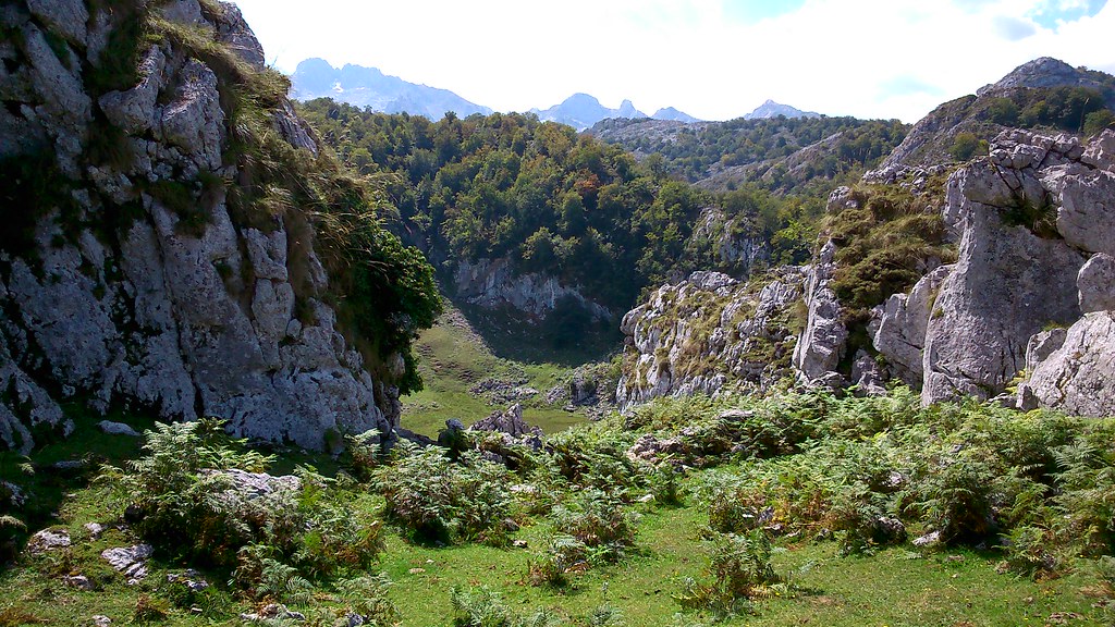 Picos de Europa