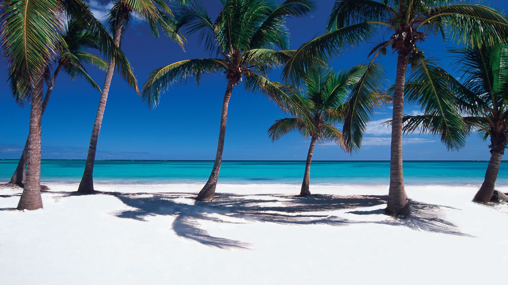 punta cana