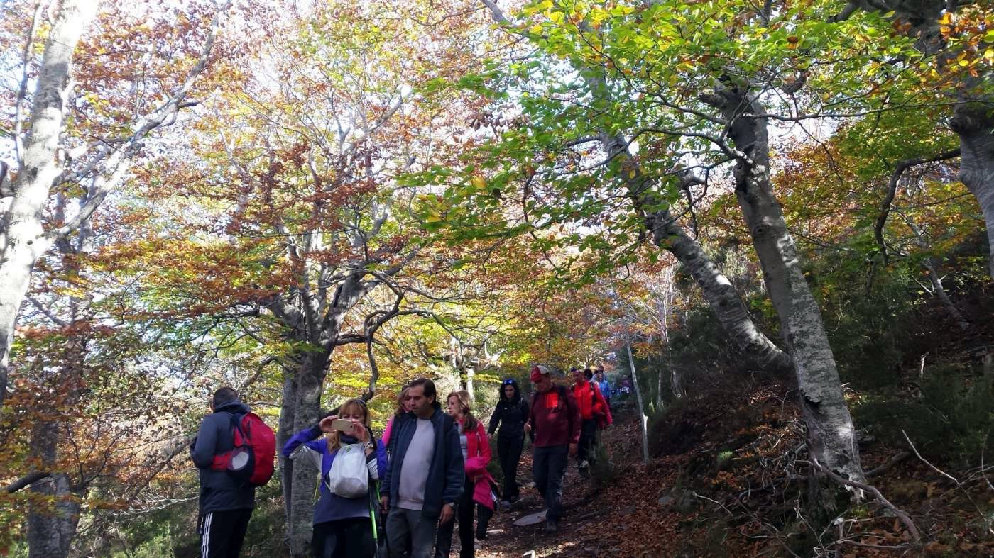 Dehesa del Moncayo
