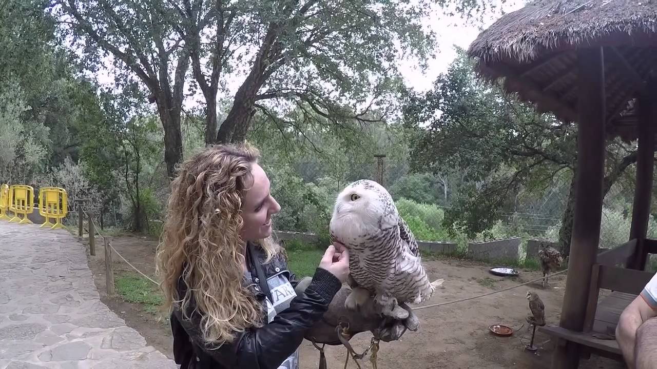 Zoo