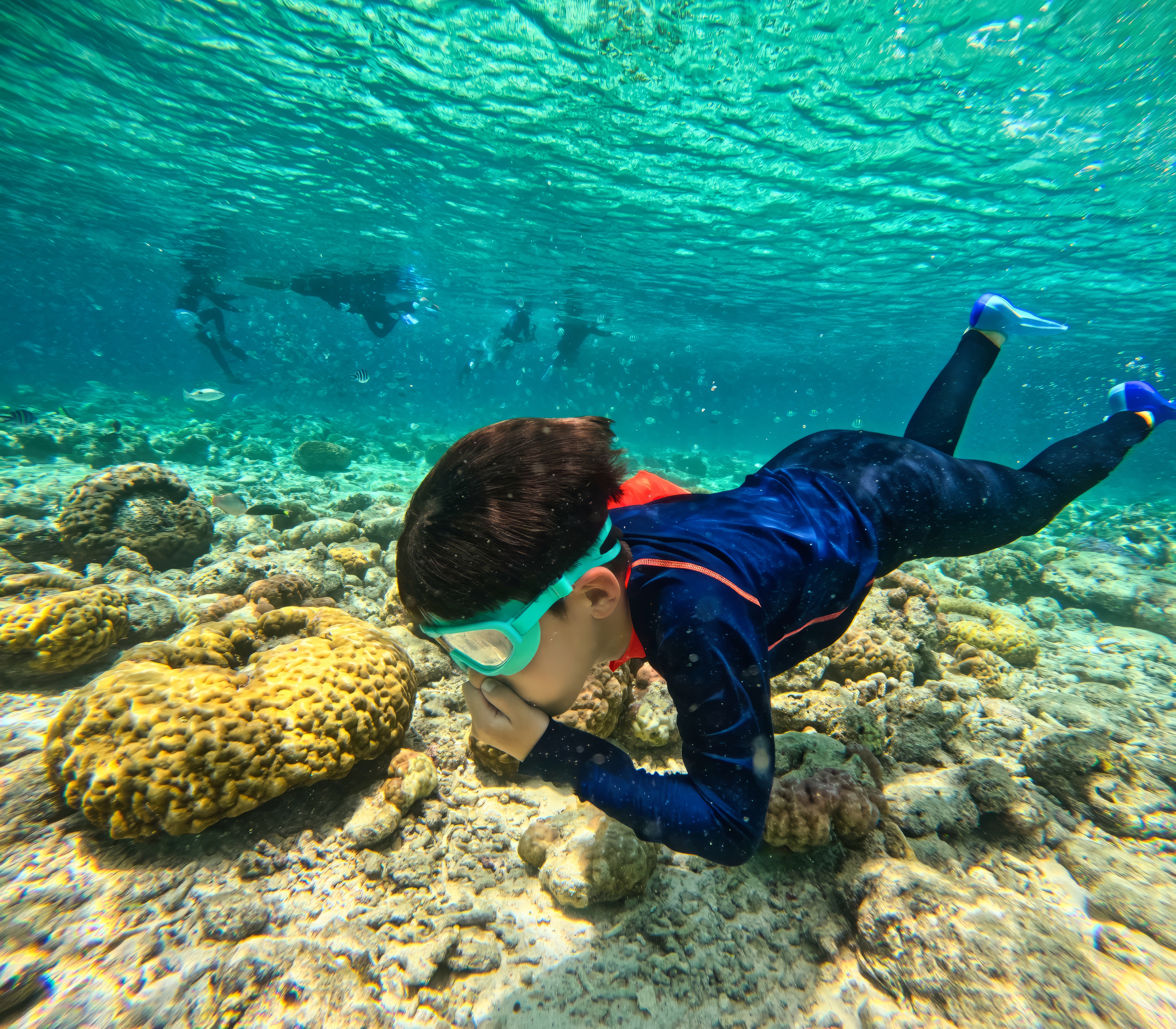 snorkel