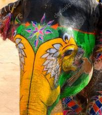 Pintado de Elefantes