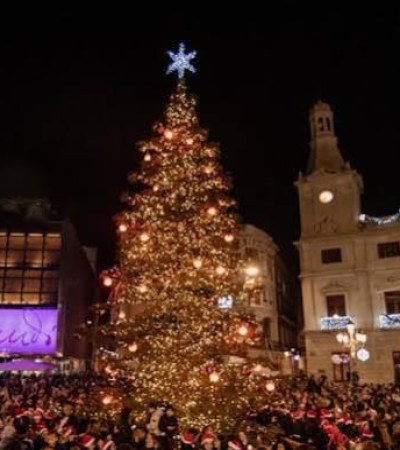 Arboles de Navidad en Sant Hilari