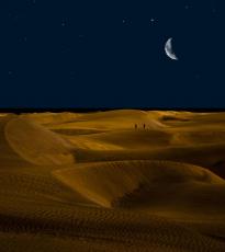 noche desierto