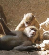 zoo