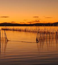 Albufera