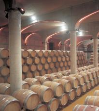 Bodegas