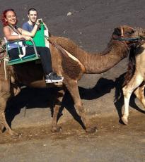Paseo en camello