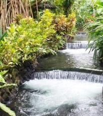 Arenal - Tabacón
